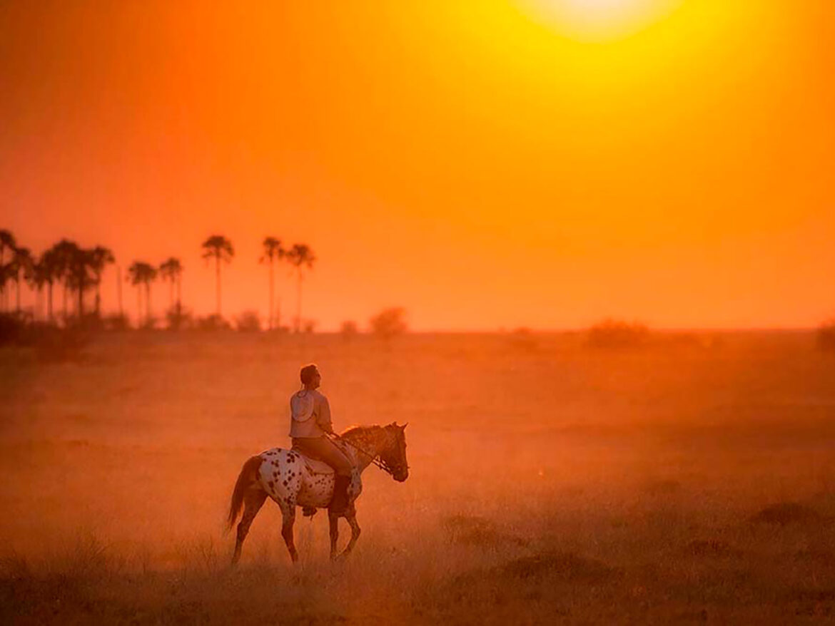 safaris-a-caballo-en-el-okavango safaris a caballo en el okavango